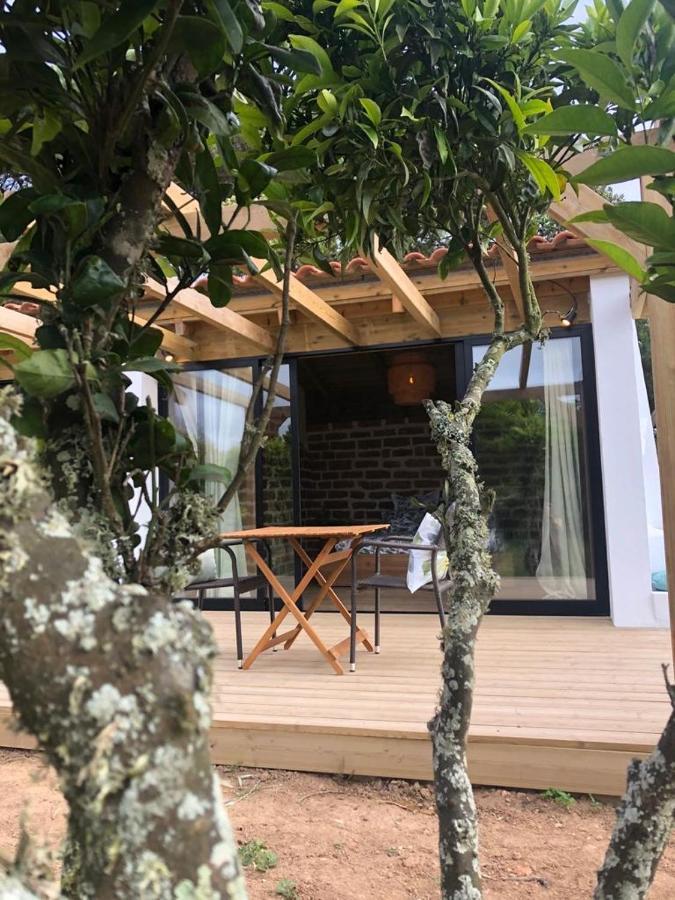 Seahousenature Porto Covo Zewnętrze zdjęcie